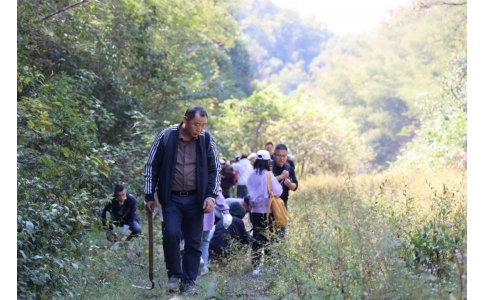 踏秋尋寶，聞香識藥！首屆神農(nóng)杯野外識藥大賽在株洲鳳凰山景區(qū)成功舉辦！