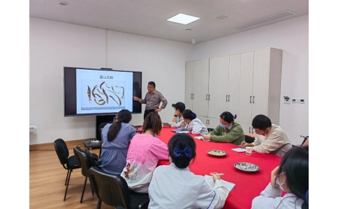 提高鑒定技能 傳承特色技術(shù)——漢方神農(nóng)中醫(yī)館中藥材鑒別培訓活動紀實