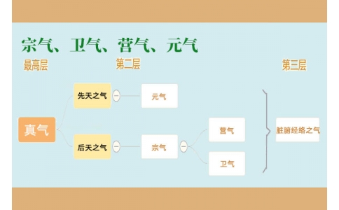 中醫(yī)里的“宗氣”、“衛(wèi)氣”、“營氣”、“元氣”